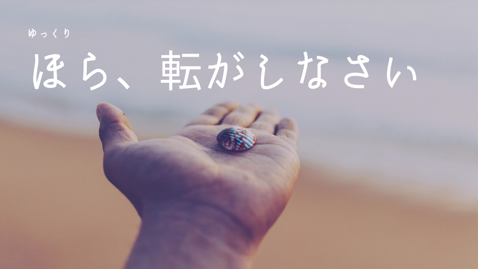 てのひら